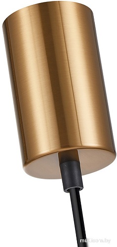 Подвесная люстра F-Promo 4341-1P