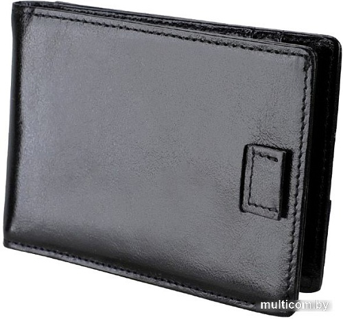 Зажим для денег EZcase Demid (черный)