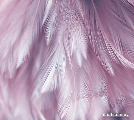 Фотообои Vimala Перья 6 270x300