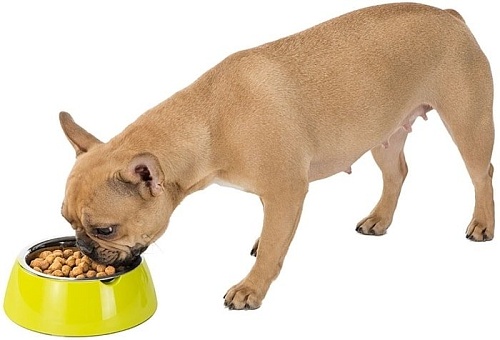 Миска Ferplast Jolie Medium (черный)