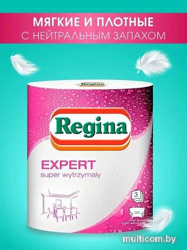 Бумажные полотенца Regina Expert (3 слоя)