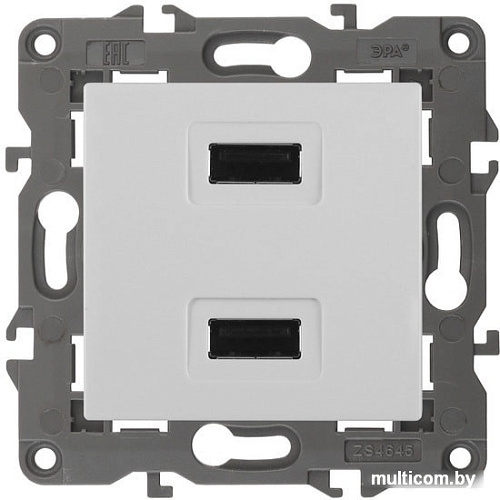 Розетка USB ЭРА 14-4110-01