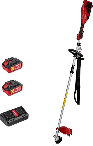 Триммер Wortex TB 3036-1 ALL1 XLT Set 1334872 (с 2-мя АКБ)