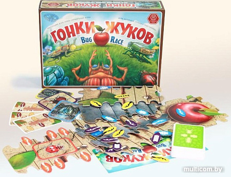 Настольная игра Правильные игры Гонки жуков