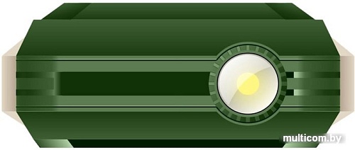Мобильный телефон Inoi 246Z (хаки)