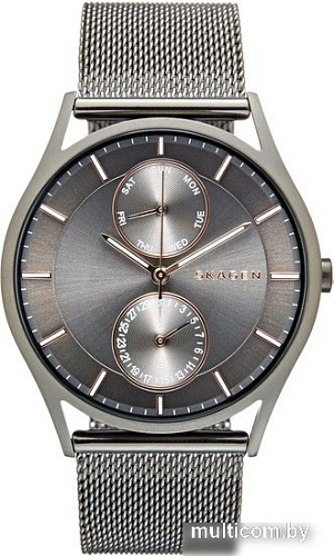 Наручные часы Skagen SKW6180