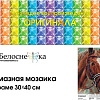 Алмазная мозаика Белоснежка Побегаем? 505-ST-S