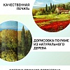 Картина Декарт 8Л0382