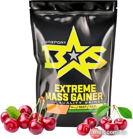 Протеин Binasport Extreme Mass Gainer (1000г, вишня)