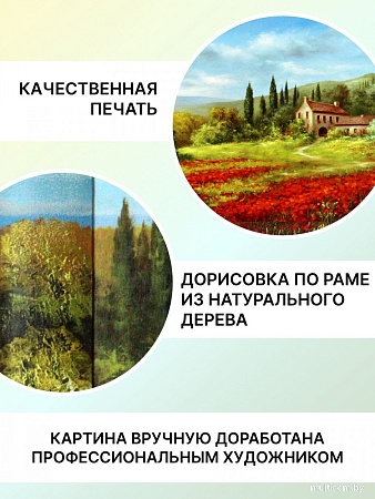 Картина Декарт 8Л0382
