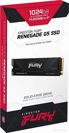 SSD Kingston Fury Renegade G5 1TB SFYR2S/1T0