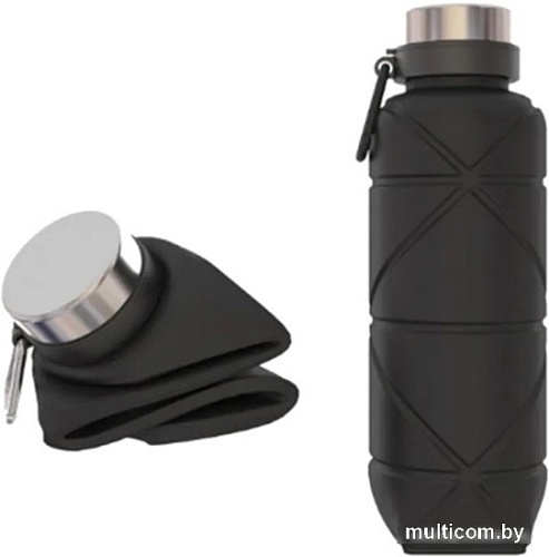 Бутылка для воды Coyote 010800004A 700мл (черный)