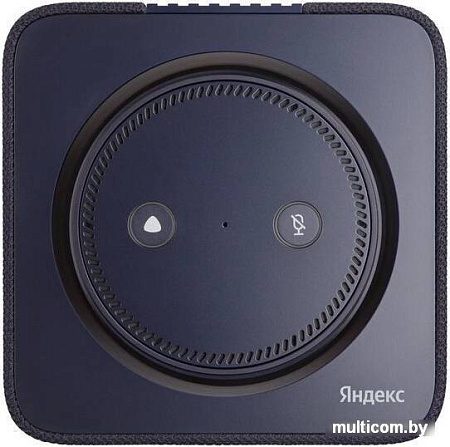 Умная колонка Яндекс Станция Макс (с хабом умного дома Zigbee, темно-синий)