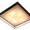 Припотолочная люстра ST Luce Chodo SL1127.422.05
