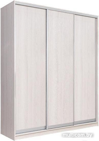 Шкаф-купе Рэйгрупп 233450 YYX Elgon РГ-01.03 (ясень снежный/хром)