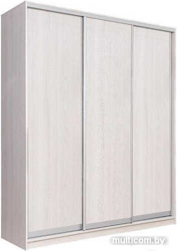 Шкаф-купе Рэйгрупп 233450 YYX Elgon РГ-01.03 (ясень снежный/хром)