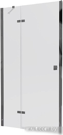 Душевая дверь Triton Бруно 99x190 (прозрачное стекло)