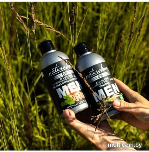 Косметика по уходу за телом Naturalium Гель для душа Men All-in-One Женьшень 400 мл