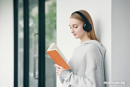 Наушники Sony WH-CH510 (черный)