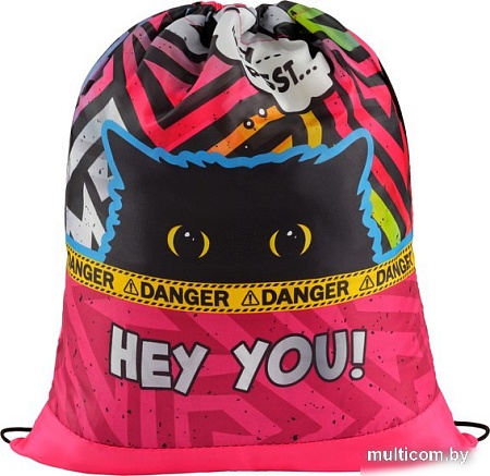 Мешок для обуви ArtSpace Spy Cat СДС_50166