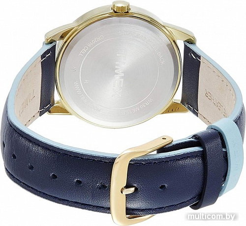 Наручные часы Timex TW2R62600