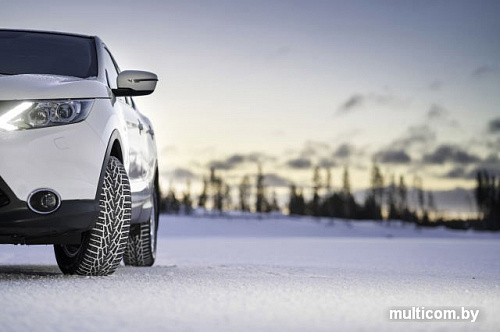 Автомобильные шины Nokian Nordman 7 SUV 265/60R18 114T