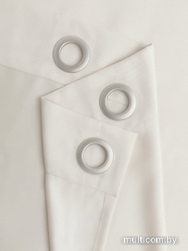 Штора Amore Mio RR 207-01 2x2.7 м 34500 (шампань/люверсы)