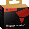 Беспроводная колонка Canyon CNE-CBTSP2BO