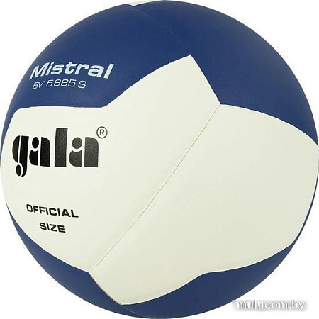 Волейбольный мяч Gala Mistral 12 BV 5665 S (размер 5, белый/синий)