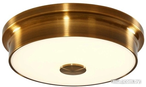 Люстра-тарелка Citilux Фостер-2 CL706222