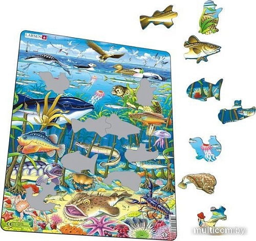 Пазл Larsen Водоросли FH13