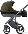 Универсальная коляска BEBETTO Holland (2 в 1, W47)