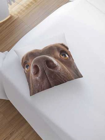 Чехол на подушку JoyArty Нос собаки sl_6554