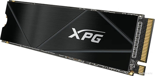 SSD ADATA XPG Gammix S50 2TB SGAMMIXS50C-2000G-CS