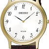 Наручные часы Seiko SUP860P1