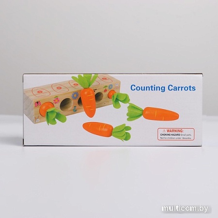 Набор развивающих игрушек Sima-Land Посади разные морковки 5492095