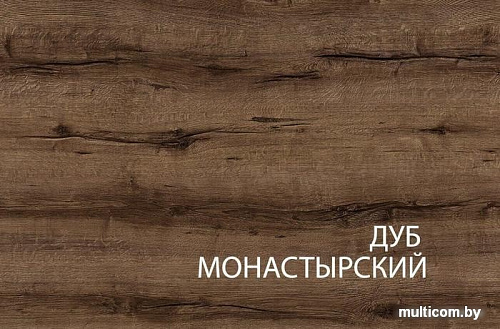 Тумба Anrex Jagger 1V2D2S Дуб Монастырский/Черный