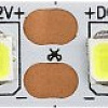 Светодиодная лента ЭРА LS2835-9,6-120-12-6500K-IP20-2year-5m