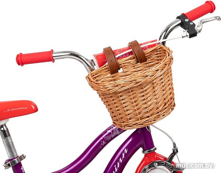 Детский велосипед Schwinn Elm 16 2021 S0615RUBWB (розовый/фиолетовый)