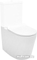 Унитаз Aquanet Rimless Atago-C1 BL-104N-TPT