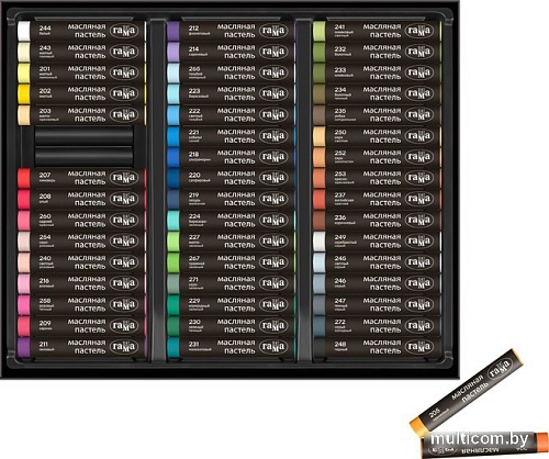 Набор масляной пастели Гамма 5042348 (48 цв)