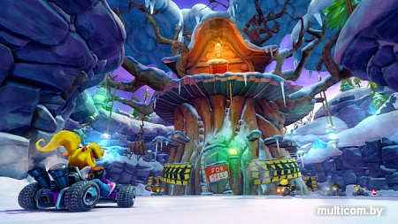 Игра Crash Team Racing Nitro-Fueled для Nintendo Switch