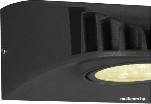 Уличный настенный светильник Favourite Versus 3029-1W