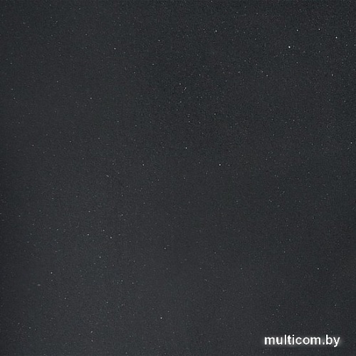 Кухонная мойка Wisent 600-25W (с сифоном GER013)