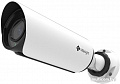 IP-камера Milesight MS-C2963-FPB