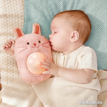 Музыкальная игрушка Hape Друг-кролик E0114