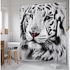 Шторка-занавеска для ванны JoyArty Белый тигр sc_12734