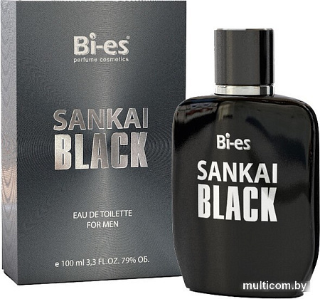 Туалетная вода BI-ES Sankai Black EdT (100 мл)