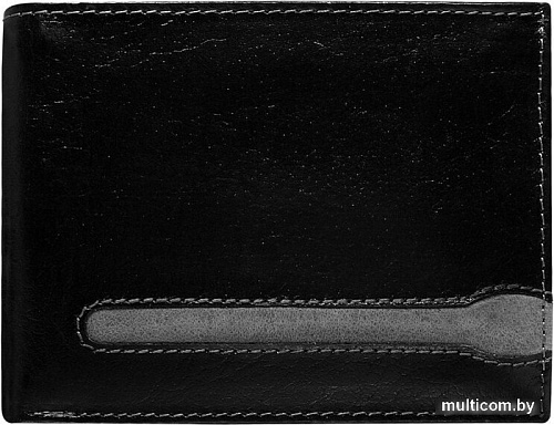 Портмоне Cedar 107-VH (черный)