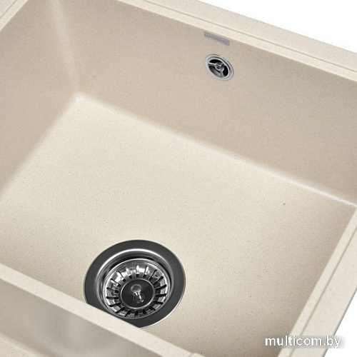 Кухонная мойка Wisent 580-30WQ (с сифоном GER011)